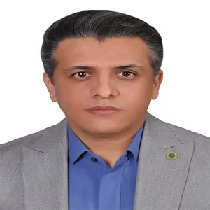 vahid molazade