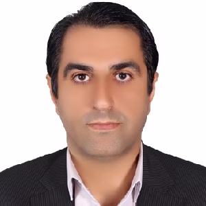 حمید محبی