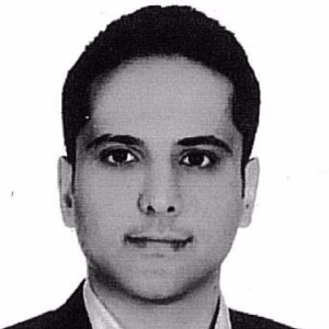 سید امین ابطحی