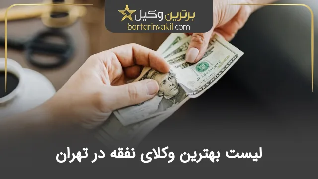 بهترین وکیل نفقه در تهران