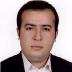 محسن نامجو