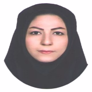 Mahdia Barfi مهدیه برفی