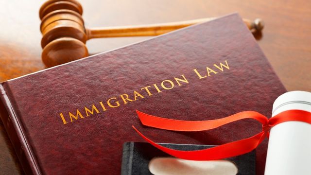 مزایای داشتن وکیل مهاجرتی در کرج چیست؟