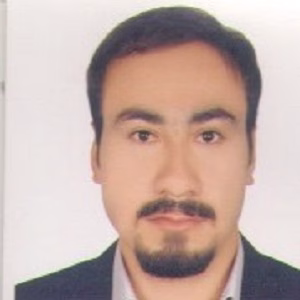 امین فیروزی