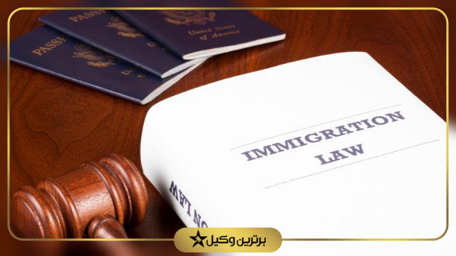 بهترین وکیل مهاجرت در مشهد