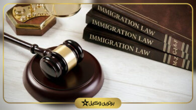 بهترین وکیل مهاجرت در شیراز