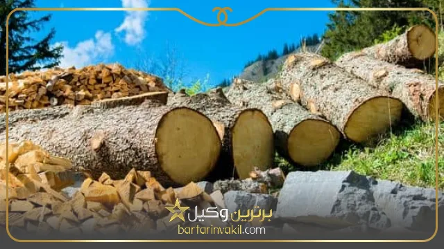 بهترین وکیل منابع طبیعی در شیراز کیست؟