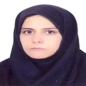 مریم استانستی بهترین وکیل طلاق در بیرجند