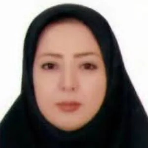 Somayeh Fathi