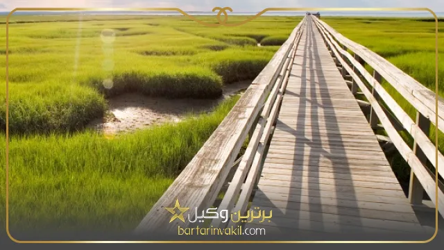 بهترین وکیل منابع طبیعی