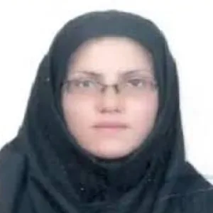 الهام خدابخشی بهترین وکیل طلاق در بیرجند