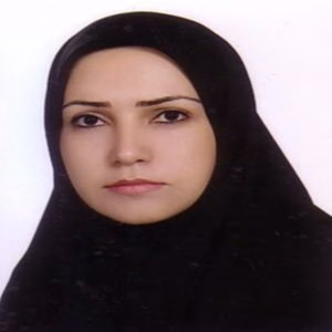 لیلا هیبت الهی