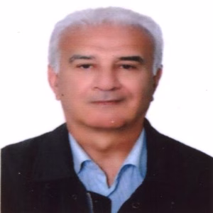سید محمود عقیلی