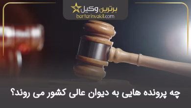 چه پرونده هایی به دیوان عالی کشور می رسند؟