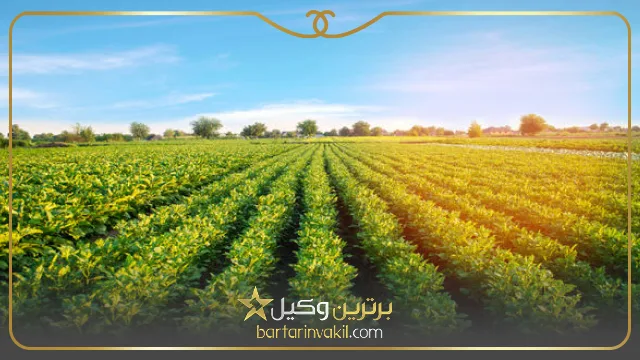 تصرف عدوانی زمین کشاورزی چیست؟