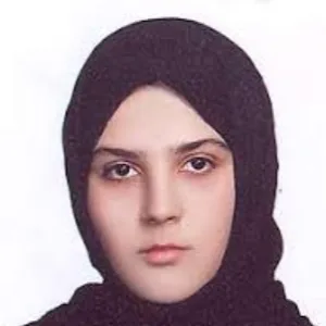 المیرا شیخی بهترین وکیل حقوق بین الملل