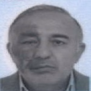 محمد جمشیدی فارسانی