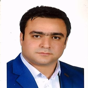 محمود رضا انصاری