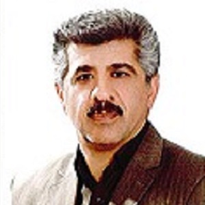 محمدحسن رضوی برمایی وکیل بهشهر