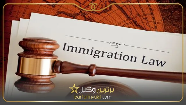 مهاجرت به امارات از طریق ثبت شرکت