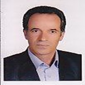 سید هادی زمانی