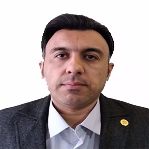 هادی محمدی