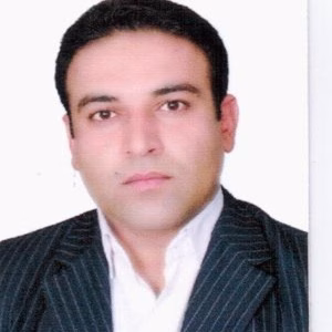 رضا مالکی