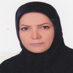 مهین علی محمدی وکیل خانواده در زنجان