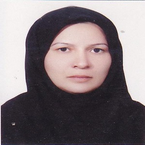  مهناز حسینی‌ سیرچی‌ وکیل در بم