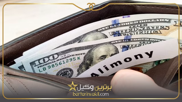 نفقه شامل چه مواردی می شود؟