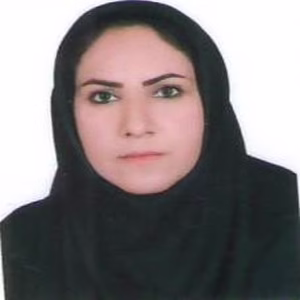 جمیله لطفی وندخانه برق