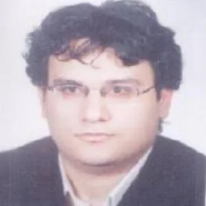Seyed Hasan Younesi