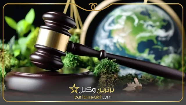 بهترین وکیل منابع طبیعی رشت
