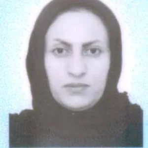 زینب اکبری احمد محمودی بهترین وکیل مریوان