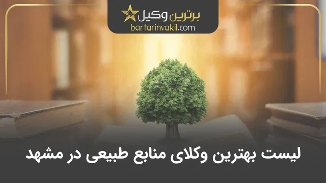 بهترین وکیل منابع طبیعی در مشهد