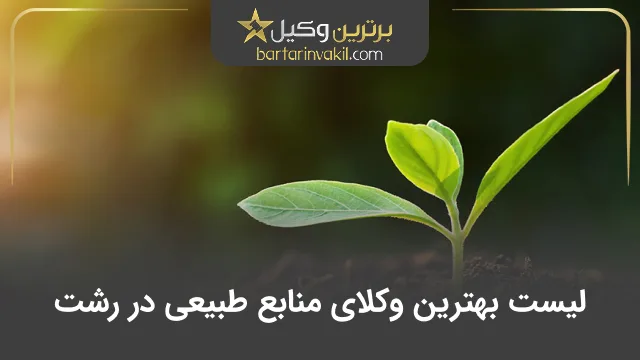 بهترین وکیل منابع طبیعی در رشت