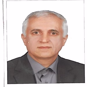 همایون مافی