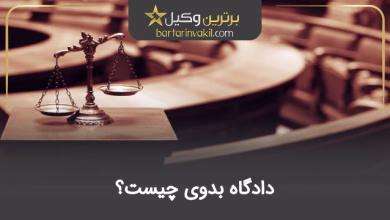دادگاه بدوی چیست؟