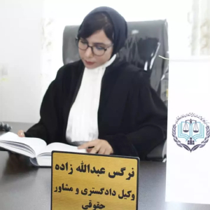 نرگس عبدالله زاده بهترین وکیل کمیسیون ماده 100 شهرداری