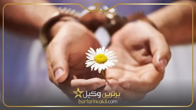 رضایت شاکی در روند تبدیل حبس چه تاثیری دارد؟