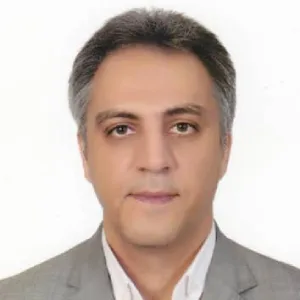 هادی ناصرپور