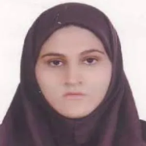 Samaneh Mafakheri