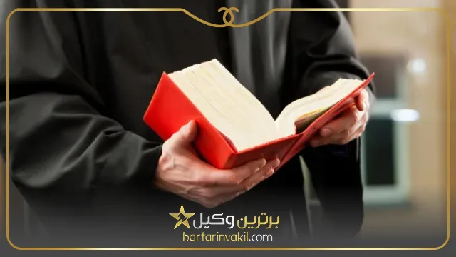 رسیدگی بدوی چیست
