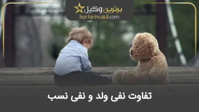 نفی ولد
