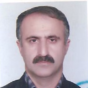 وکیل محمدهادی امیدواری