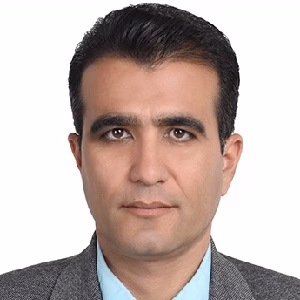 حسام الدین صفری