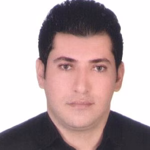 ایوب دولتی