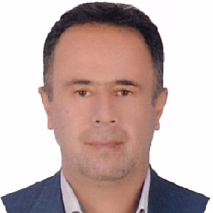 سیدیاور میربزرگی