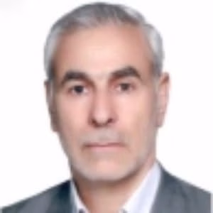 علی اصغر فتاحی برج احمدی